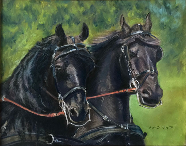 Upperville Friesians